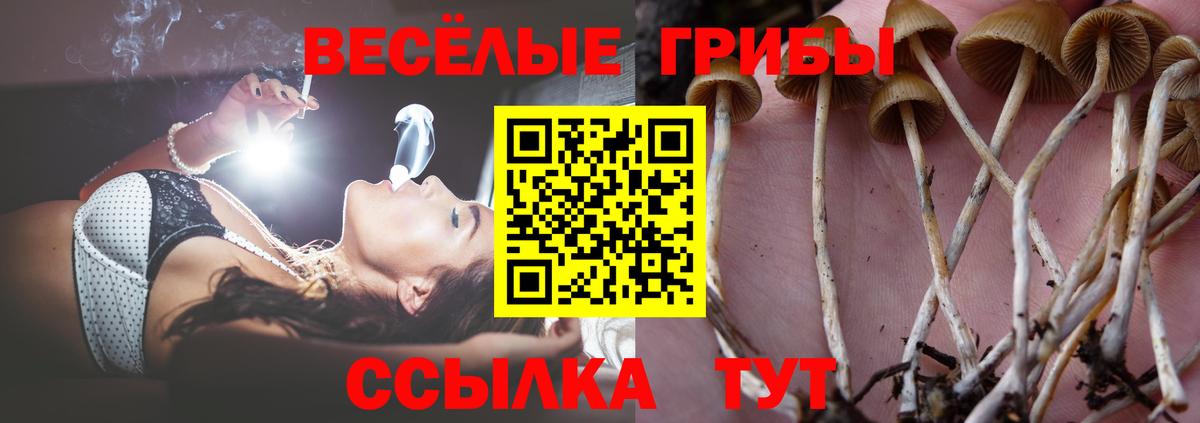 Псилоцибиновые грибы ЛСД Жигулёвск
